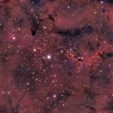 IC 1396 Elephant trunk nebula