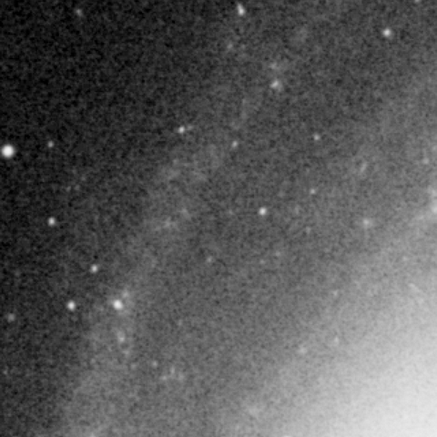 DSS2 red M81 crop